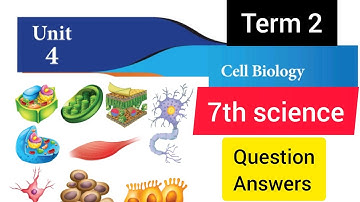 7th std science 2nd term unit 4 book back answers || cell biology question answers