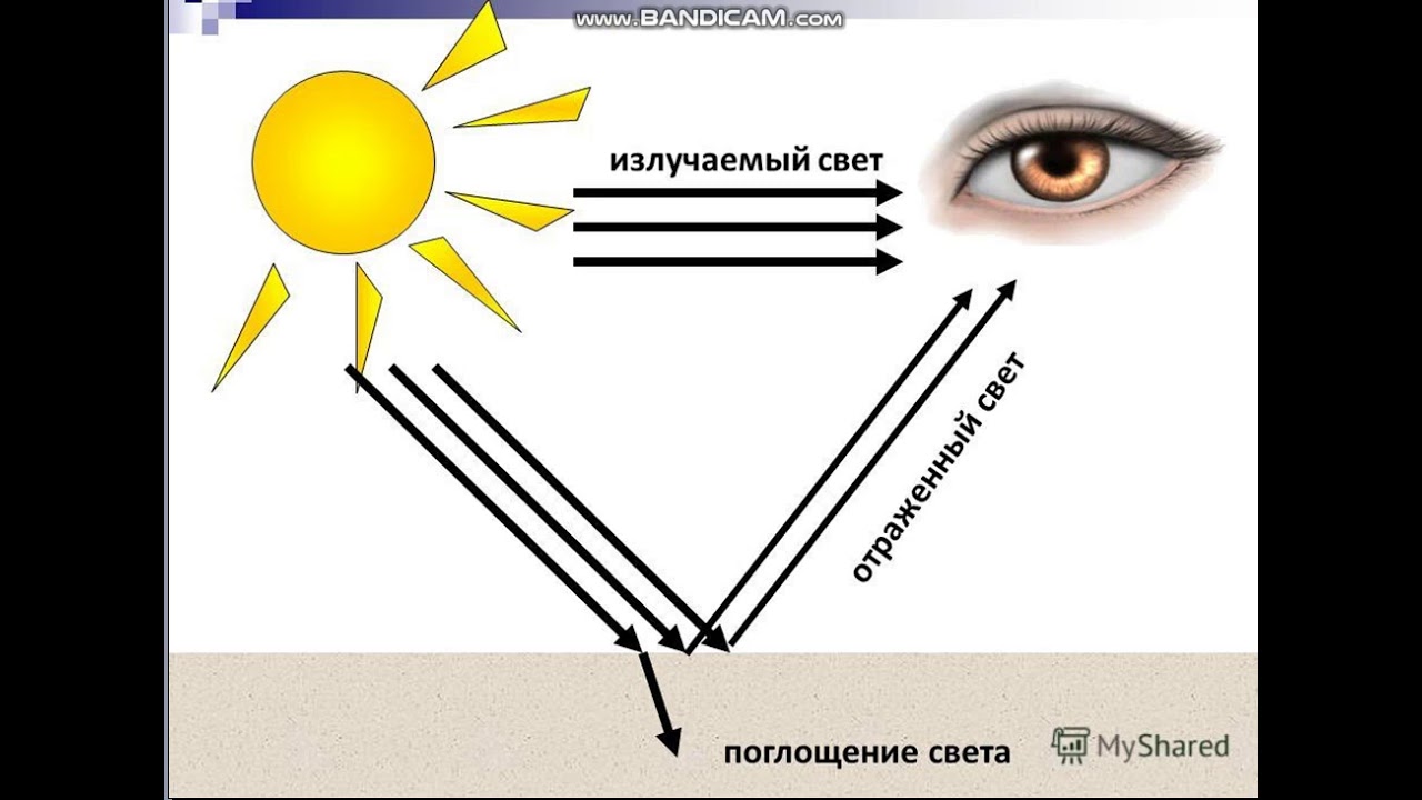 Свет 2 класс презентация. Свет. Отражающий свет. Поглощение света. Свет отражение света.