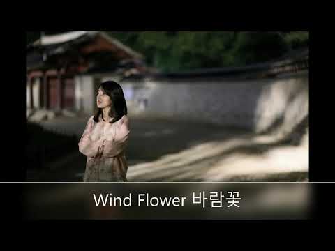 IU-Wind Flower 바람꽃 風之花