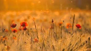 Mishary Rashed Al Afesy Al Anfal8 مشاري راشد العفاسي سورة الأنفال تسجيل قديم