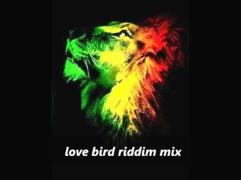 Love Bird Riddim
