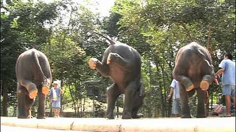 Samui Island Off road at Namuang Safari Park