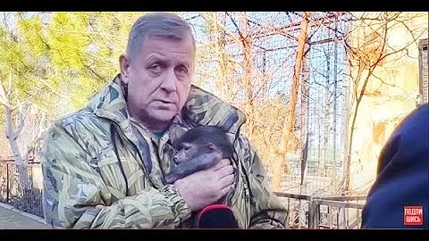 Олег Зубков с Люсей дают интервью!Что ждет МАЛЕНЬКОГО ГАМАДРИЛА , за которым плохо ухаживает мама?