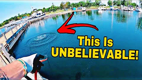 If It Were Not Filmed, NO ONE Would Believe What I...