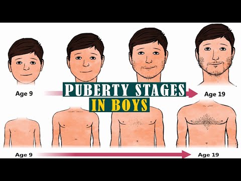 Puberty for boys stages: 5 Things to Expect When Puberty Hits Boys