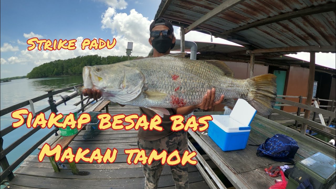 STRIKE PADU SIAKAP BESAR|MANCING RAKIT YOYO A