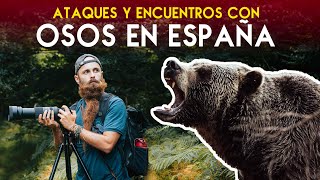 Buscamos OSOS SALVAJES en Asturias (y nos llevamos esta sorpresa )