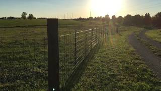 Cattle Panel Fence Build Part 2