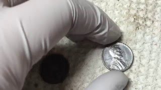 How to clean a steel wheat penny! Walking through the process and results! Before and After pics.