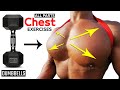 8 BEST CHEST EXERCISES WITH DUMBELLS ONLY 🎯