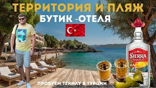 видео: Территория Rose Garden Premium - Ultra All Inclusive| Где лучший пляж в Антальи |Впервые пьем текилу картинка: Территория Rose Garden Premium - Ultra All Inclusive| Где лучший пляж в Антальи |Впервые пьем текилу