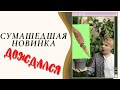 Самая редкая Новинка под новый год// На улице -15 а посылки всё едут и едут...