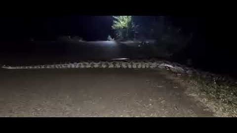 Big snake Harties Dam