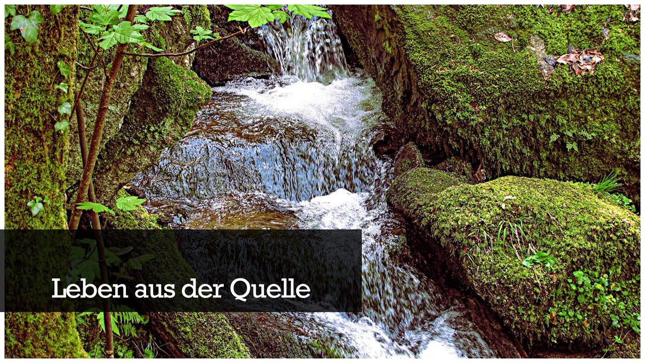 Leben aus der Quelle Gedanken zu Kolosser 1, 27 YouTube