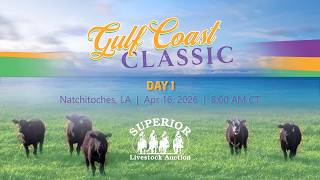 Gulf Coast Classic - Day 1 - 4/16/2026