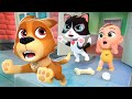 Bingo (La Primera Mascota) | Lalafun Canciones Infantiles y Música para Chicos