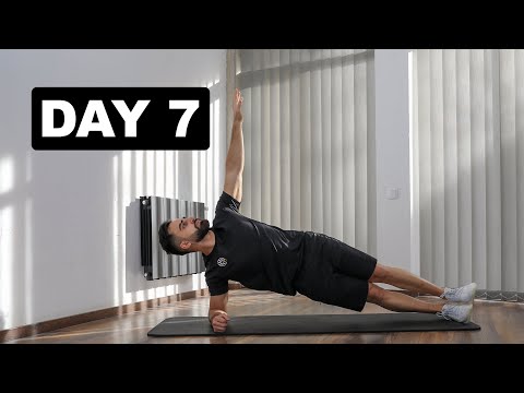 მოტივაცია - დღე 7