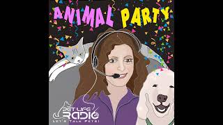 Animal Party Episode 181 Cats, Dogs, Wolves & Cars