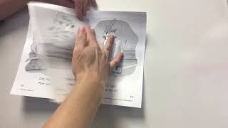 Decodable - Lesson 2 Day 4 “Pam”