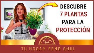 7 PLANTAS PROTECTORAS  para el HOGAR Según el FENG SHUI㊗