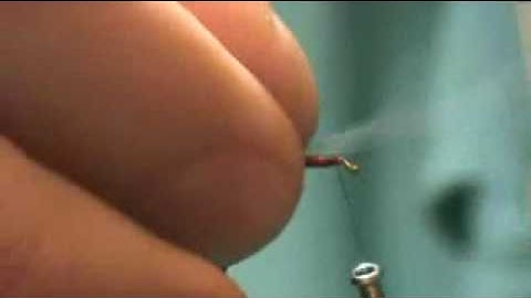 Easy Blood Worm