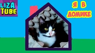 Коты в домиках от лабиринта 🐱🏰🐱 Не хотят выходить 😂 Лиза и котики 🌸 Lizatube Коты в домиках от лабиринта 🐱🏰🐱 Не хотят выходить 😂 Лиза и котики 🌸 Lizatube
