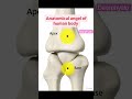 #anatomy Anatomical angel of human body #physiotherapy #trending