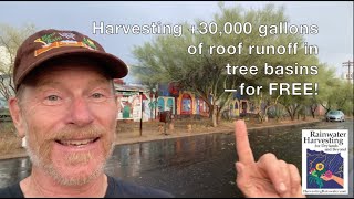 Harvesting +30,000 gallons of roof runoff in tree basins for FREE