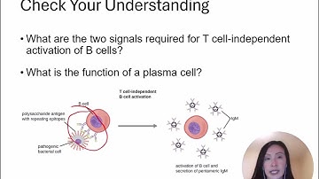 Openstax Micro Ch. 18 Video Part 04 - Section 18.4