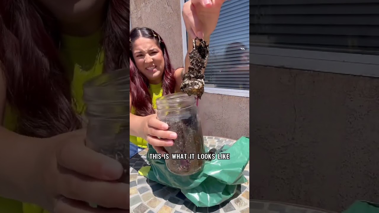 Compostable packaging for the win 🥇 