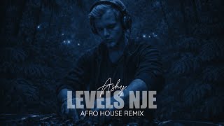 Download Lagu Levels by Avicii, but it’s an Afro House Festival Remix. MP3