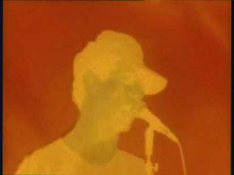 Grass - Animal Collective