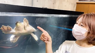 みんなの協力があって新しい家族をお迎えする事ができました。