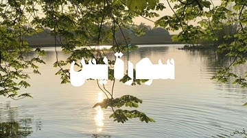 سورة يس كاملة(قلب القرآن)| تلاوة تريح القلب والروح ✨🤍