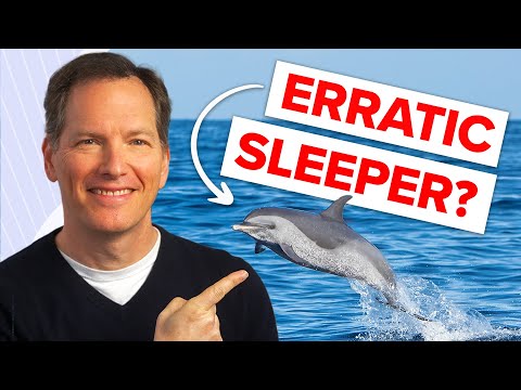 My Favorite Tips For Better Sleep [Dolphin Chronotype]