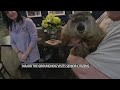 Major the groundhog visits louisville seniors on groundhog day