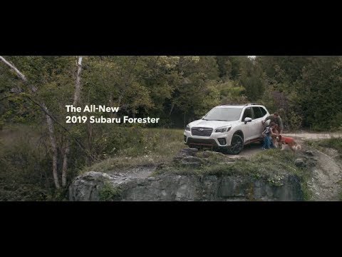19スバル フォレスター Cm アメリカ編 Youtube