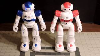 CADY WIDA & Mechanics Remote Control Humanoid Robots