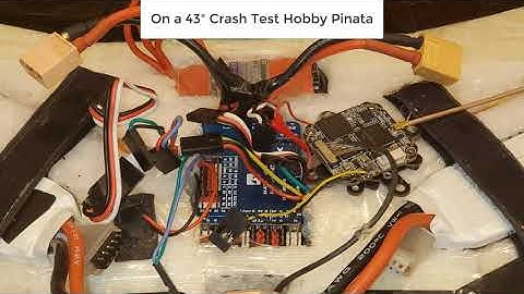 Shark Byte On 43" Wing (25mW)