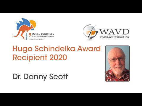 Dr. Danny Scott | Hugo Schindelka 2020