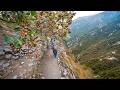 Elderly Couple’s Dangerous 5 km Mountain Journey to Harvest 50 kg of Kiwis