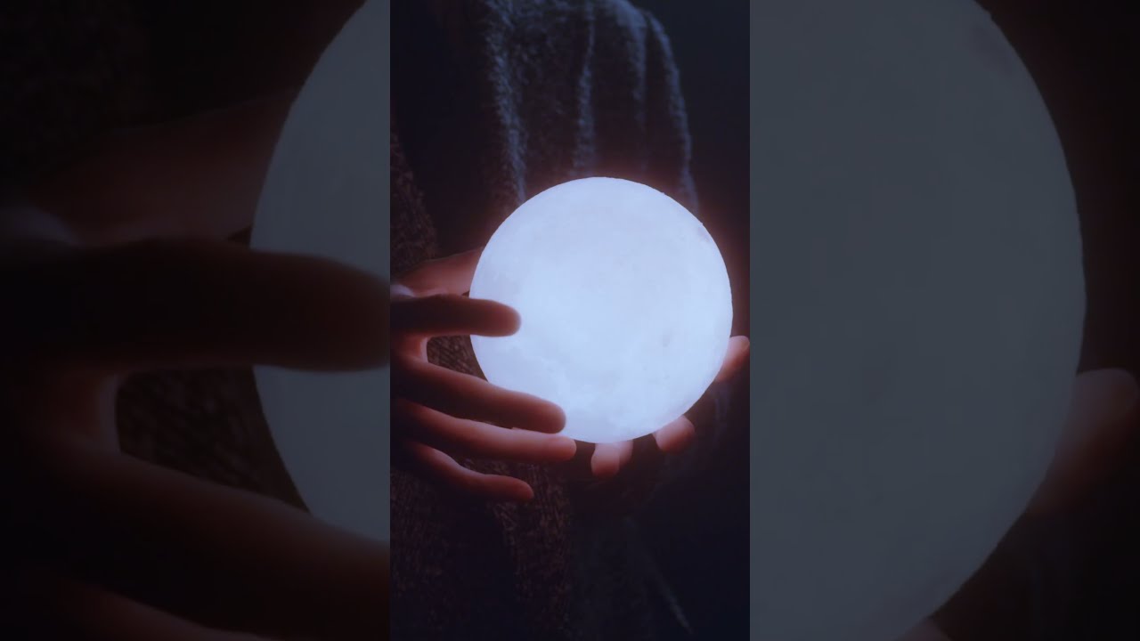 Light Up #1 Seeking the moonlight #andTEAM #雪明かり_