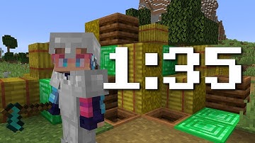 full iron armor and 15 levels world record