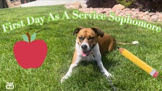 Orientation and First Day of Sophomore Year! || School With A Service Dog by Colorado Service Mutt 799 views 1 year ago 9 minutes, 21 seconds