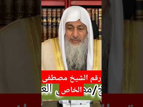 رقم الشيخ مصطفى الخاص فتاوى الشيخ مصطفى العدوي فتاوى
