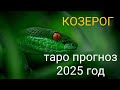 Козерог Таро Прогноз на 2025 год Змеи!!!