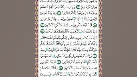 سورة البقرة /الغامدي/صفحة  8