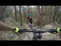 Swansea Trails combo