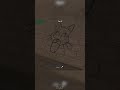 99 Nights new monster cat cutscenes