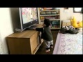 『いないいないばあ』 いないいないばぁ を見て 突然 ノリノリ になる 赤ちゃん